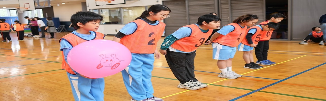 中華民國氣球排球協會