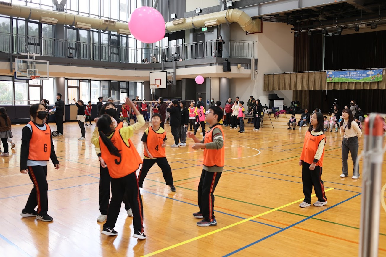 中華民國氣球排球協會